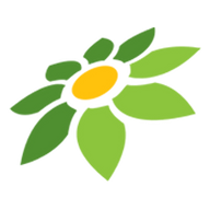 JAVGURU